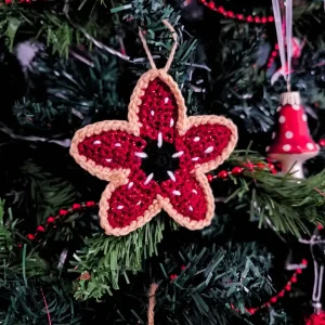 Fleurs Carnivores au crochet - Produits finis – Image 4